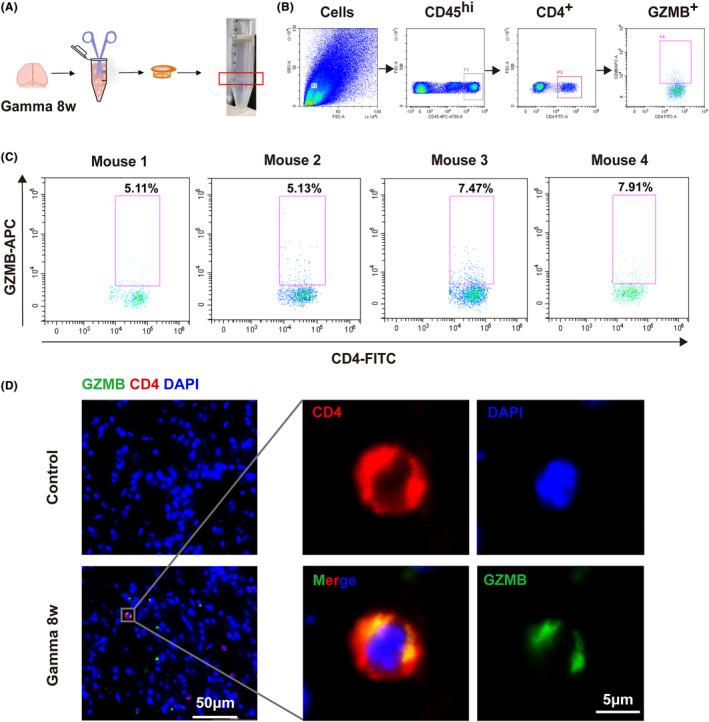 https://cdn.ncbi.nlm.nih.gov/pmc/blobs/c1f7/10948588/9771305a4ac8/CNS-30-e14682-g007.jpg