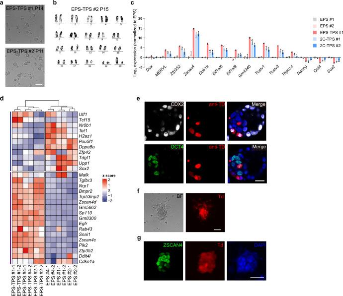 https://cdn.ncbi.nlm.nih.gov/pmc/blobs/c1f8/9160264/41d823a587db/41422_2022_668_Fig1_HTML.jpg
