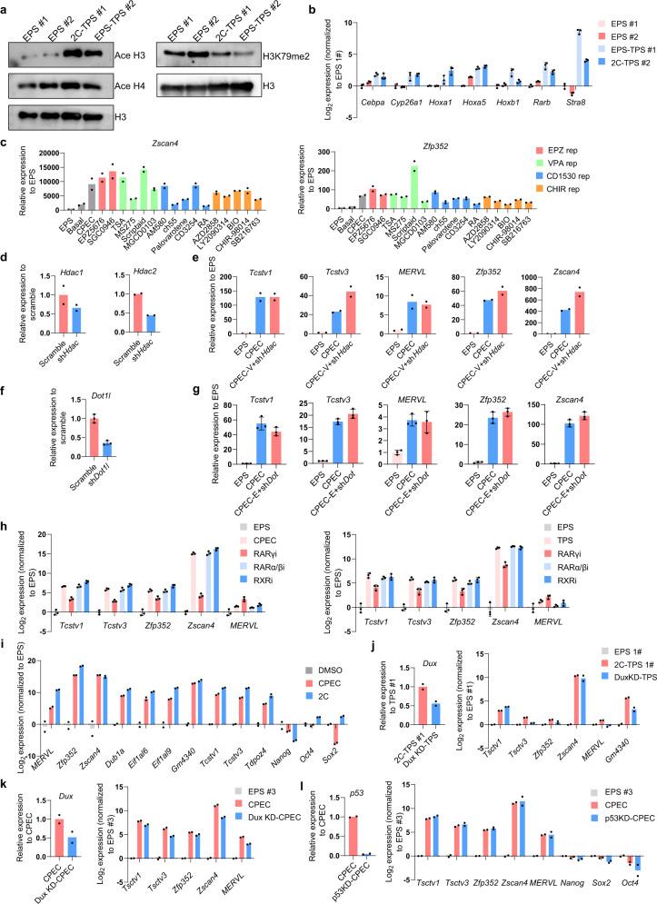 https://cdn.ncbi.nlm.nih.gov/pmc/blobs/c1f8/9160264/6c0750325147/41422_2022_668_Fig5_HTML.jpg
