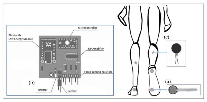 https://cdn.ncbi.nlm.nih.gov/pmc/blobs/c200/8747130/07606344a823/sensors-22-00102-g001.jpg
