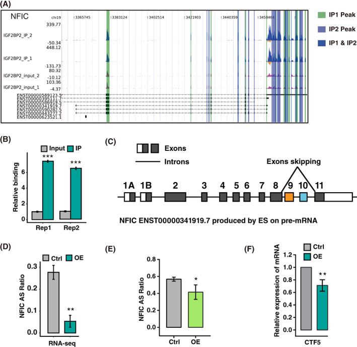 https://cdn.ncbi.nlm.nih.gov/pmc/blobs/c200/9055906/485a9e742d0a/CPR-55-e13216-g006.jpg