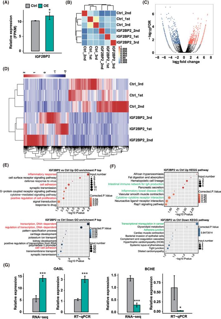 https://cdn.ncbi.nlm.nih.gov/pmc/blobs/c200/9055906/76d954569d40/CPR-55-e13216-g003.jpg