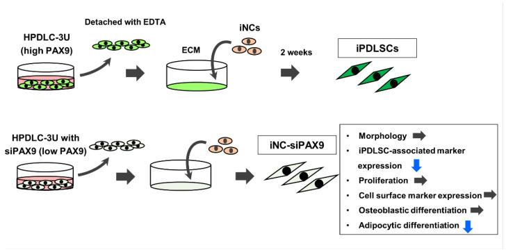 https://cdn.ncbi.nlm.nih.gov/pmc/blobs/c200/9598762/1116fef45cbe/biomedicines-10-02366-g007.jpg