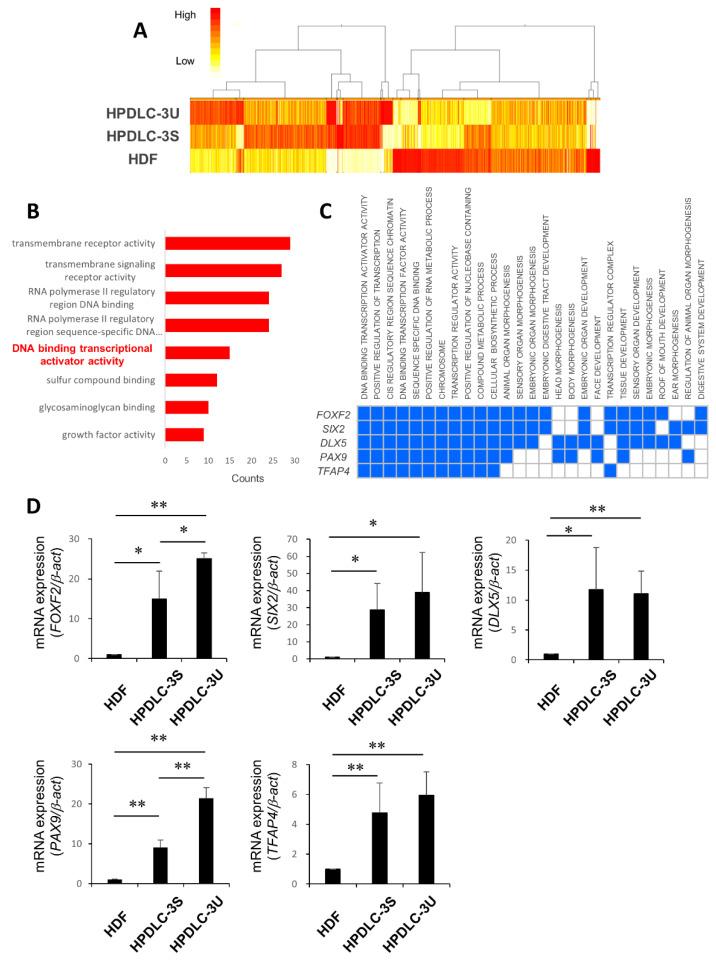 https://cdn.ncbi.nlm.nih.gov/pmc/blobs/c200/9598762/19c381860458/biomedicines-10-02366-g002.jpg