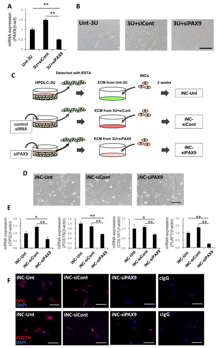 https://cdn.ncbi.nlm.nih.gov/pmc/blobs/c200/9598762/7a70ffabb590/biomedicines-10-02366-g003.jpg