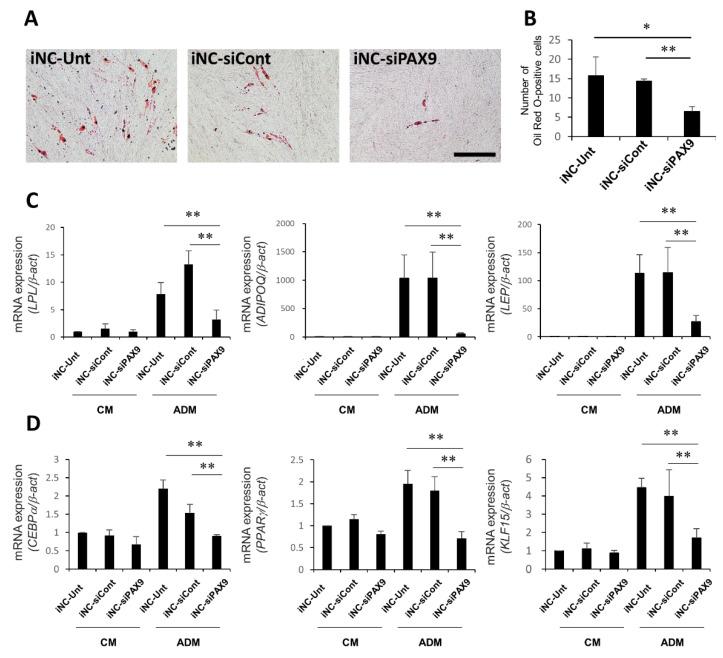 https://cdn.ncbi.nlm.nih.gov/pmc/blobs/c200/9598762/dc3a82fe7c83/biomedicines-10-02366-g006.jpg