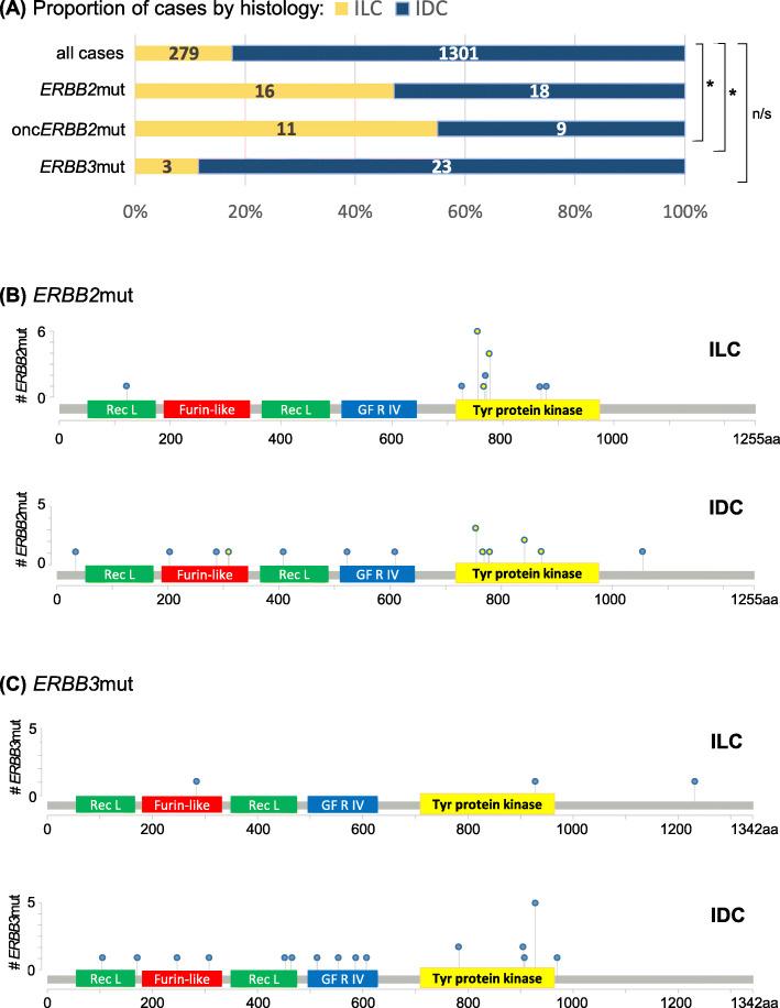 https://cdn.ncbi.nlm.nih.gov/pmc/blobs/c205/7422515/142ab3d2f6d6/13058_2020_1324_Fig1_HTML.jpg