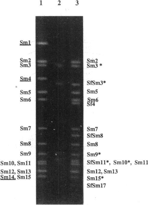 https://cdn.ncbi.nlm.nih.gov/pmc/blobs/c206/197195/f1d074e28be8/jbacter00042-0019-a.jpg