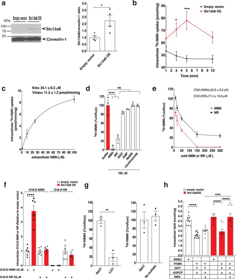 https://cdn.ncbi.nlm.nih.gov/pmc/blobs/c206/6530925/2b46e961d273/nihms-1511128-f0002.jpg