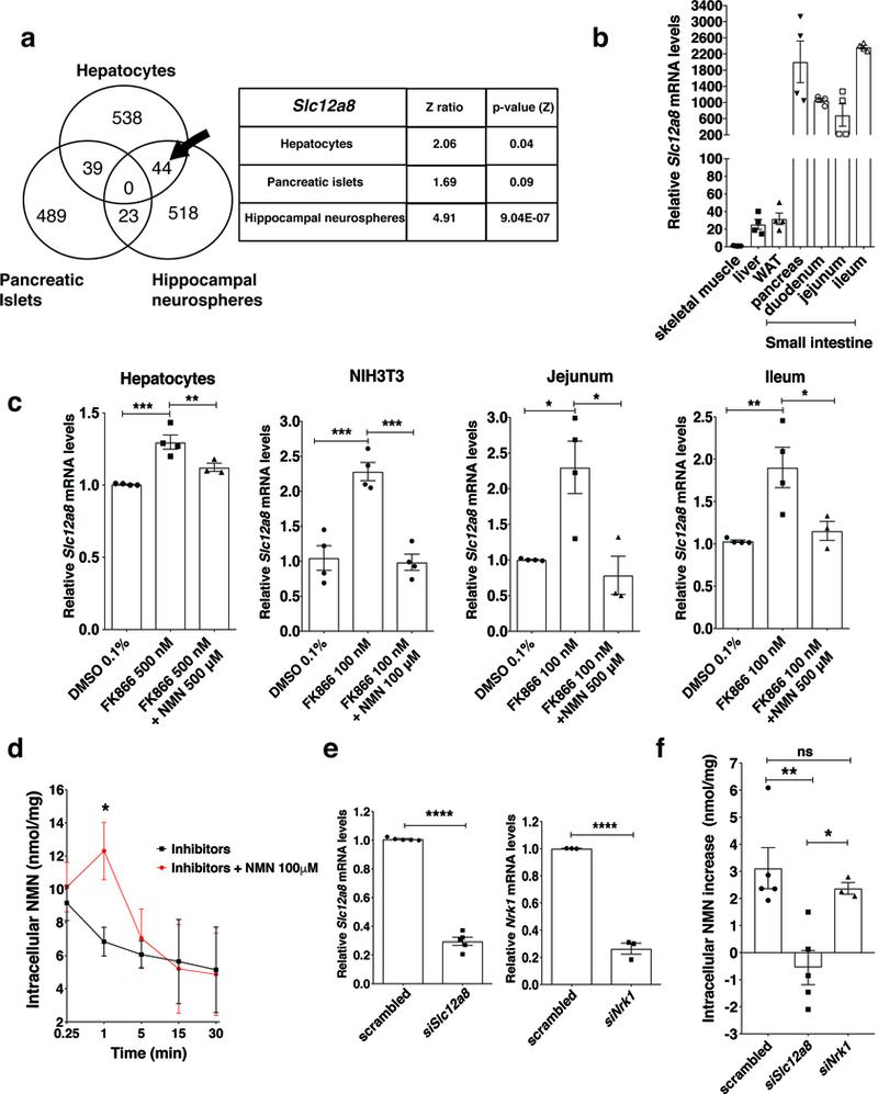 https://cdn.ncbi.nlm.nih.gov/pmc/blobs/c206/6530925/e7557b359ae1/nihms-1511128-f0001.jpg