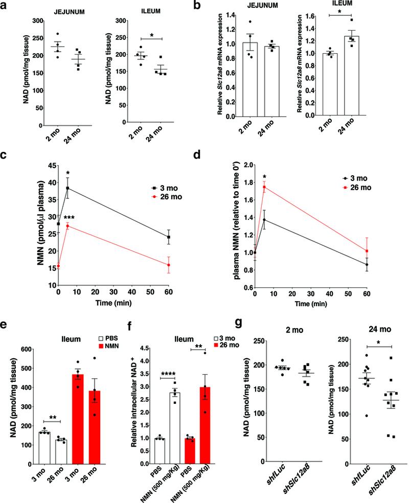 https://cdn.ncbi.nlm.nih.gov/pmc/blobs/c206/6530925/f92d7c7ba072/nihms-1511128-f0004.jpg