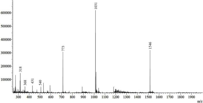 https://cdn.ncbi.nlm.nih.gov/pmc/blobs/c20b/12042281/87bf844fb1f6/fmicb-16-1568451-g003.jpg