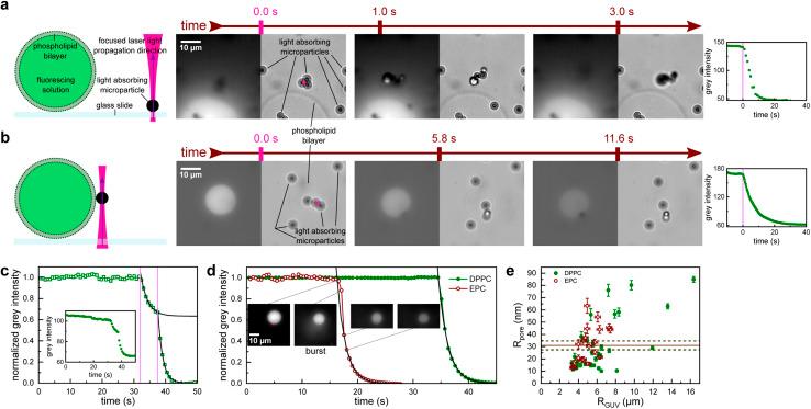 https://cdn.ncbi.nlm.nih.gov/pmc/blobs/c20c/10440727/e50d7b4c5060/d3ra03988a-f1.jpg