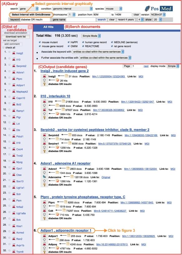 https://cdn.ncbi.nlm.nih.gov/pmc/blobs/c20d/2703941/de15c44981f5/gkp384f2.jpg