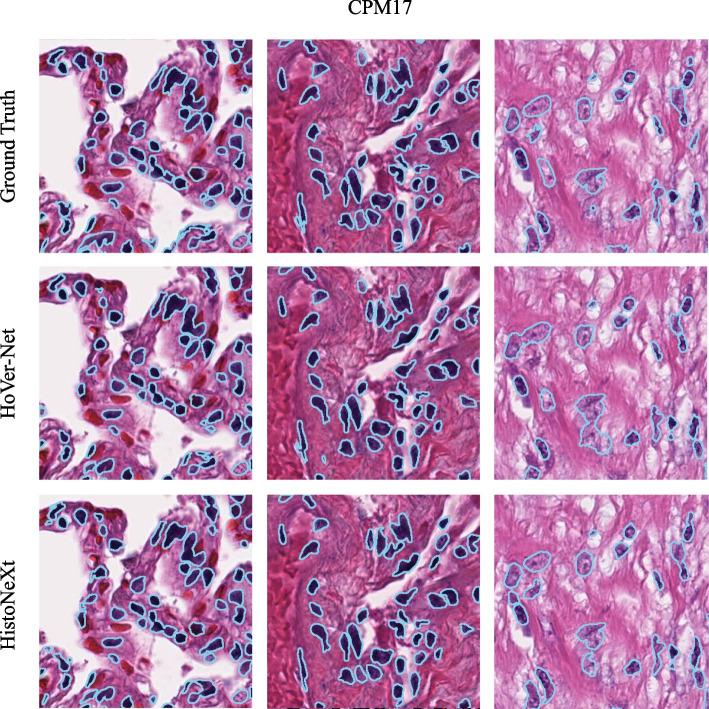 https://cdn.ncbi.nlm.nih.gov/pmc/blobs/c20e/11706021/771ab93c14c6/12880_2025_1550_Fig6_HTML.jpg