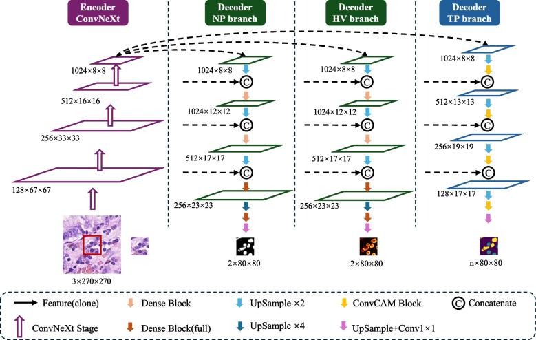 https://cdn.ncbi.nlm.nih.gov/pmc/blobs/c20e/11706021/efde95ce727b/12880_2025_1550_Fig2_HTML.jpg