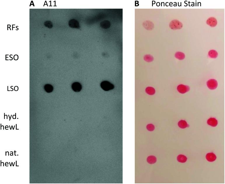 https://cdn.ncbi.nlm.nih.gov/pmc/blobs/c212/8637835/6fb6dabfac5f/d1cb00081k-f7.jpg
