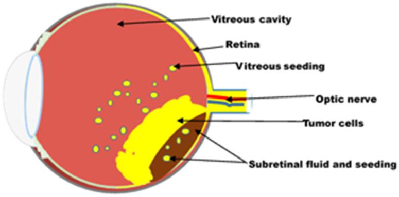 https://cdn.ncbi.nlm.nih.gov/pmc/blobs/c213/10496918/2a718726d9c9/d3na00462g-f1.jpg