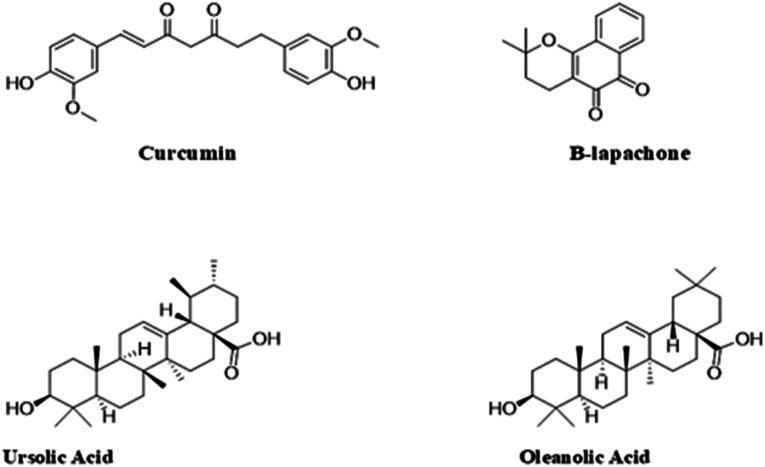 https://cdn.ncbi.nlm.nih.gov/pmc/blobs/c213/10496918/6690272516e0/d3na00462g-f7.jpg