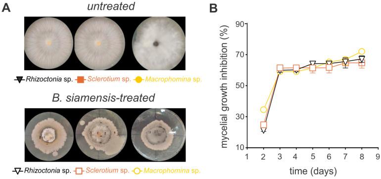 https://cdn.ncbi.nlm.nih.gov/pmc/blobs/c217/12195227/d4582c3681d8/microorganisms-13-01366-g003.jpg