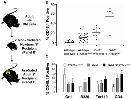 https://cdn.ncbi.nlm.nih.gov/pmc/blobs/c21e/2818849/13120b8fdf97/pone.0009152.g003.jpg