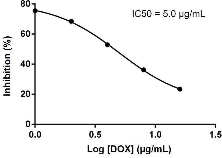 https://cdn.ncbi.nlm.nih.gov/pmc/blobs/c222/9382286/98243c78b500/fonc-12-930920-g005.jpg
