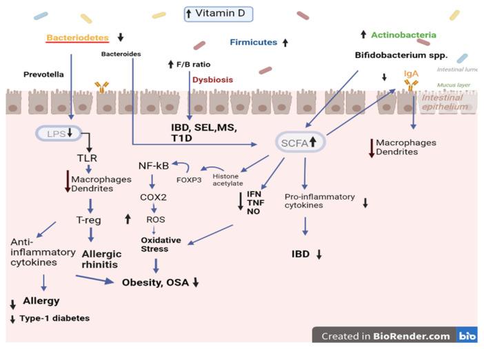 https://cdn.ncbi.nlm.nih.gov/pmc/blobs/c223/10216599/04d1b53fa967/biomedicines-11-01441-g002.jpg