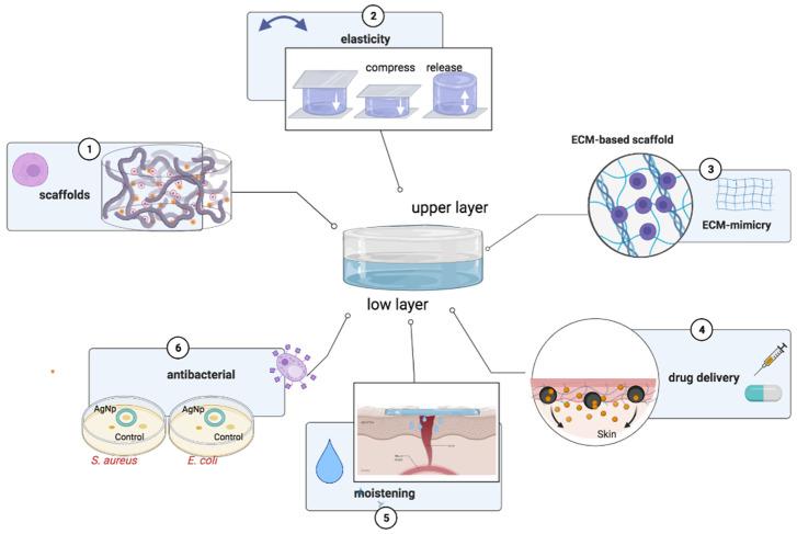 https://cdn.ncbi.nlm.nih.gov/pmc/blobs/c224/9371176/30add548294a/polymers-14-03135-g002.jpg