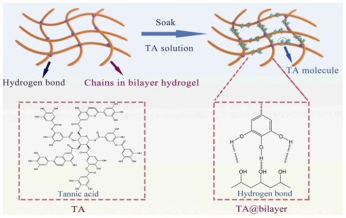 https://cdn.ncbi.nlm.nih.gov/pmc/blobs/c224/9371176/5a694275fa6e/polymers-14-03135-g011.jpg