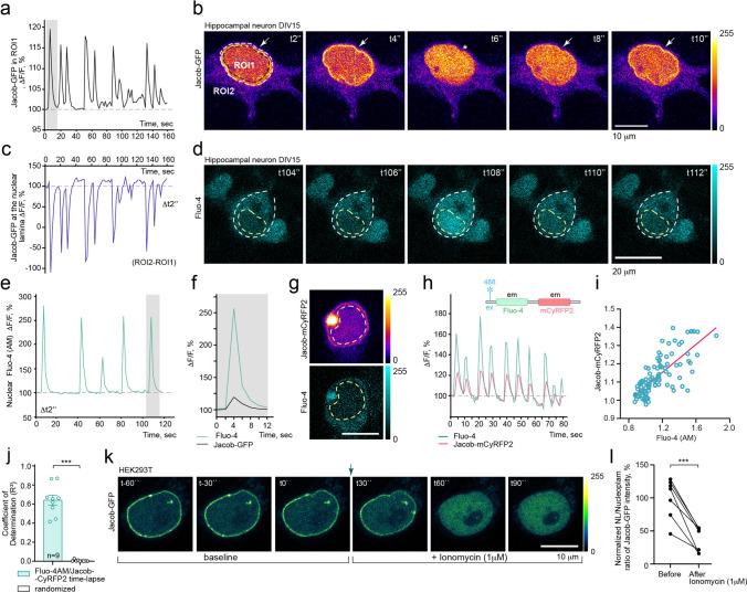 https://cdn.ncbi.nlm.nih.gov/pmc/blobs/c226/11071814/db3c480ad06e/18_2023_4876_Fig2_HTML.jpg