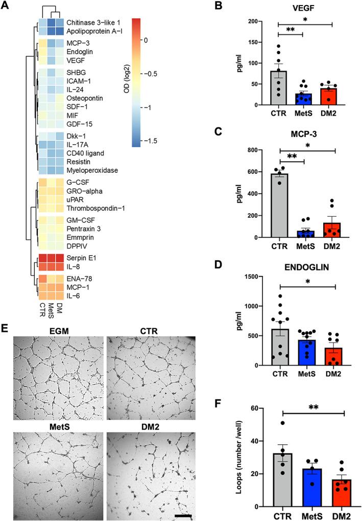 https://cdn.ncbi.nlm.nih.gov/pmc/blobs/c226/9542980/e4aba0f30b85/PATH-258-136-g006.jpg