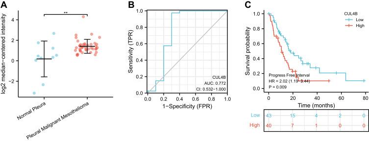https://cdn.ncbi.nlm.nih.gov/pmc/blobs/c229/9078356/911f7de10514/IJGM-15-4613-g0001.jpg