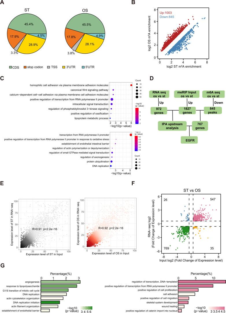 https://cdn.ncbi.nlm.nih.gov/pmc/blobs/c22a/8794471/097eaffaeea6/elife-69906-fig3-figsupp1.jpg