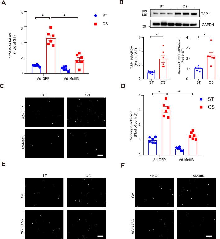 https://cdn.ncbi.nlm.nih.gov/pmc/blobs/c22a/8794471/d6baddc29da1/elife-69906-fig4-figsupp1.jpg