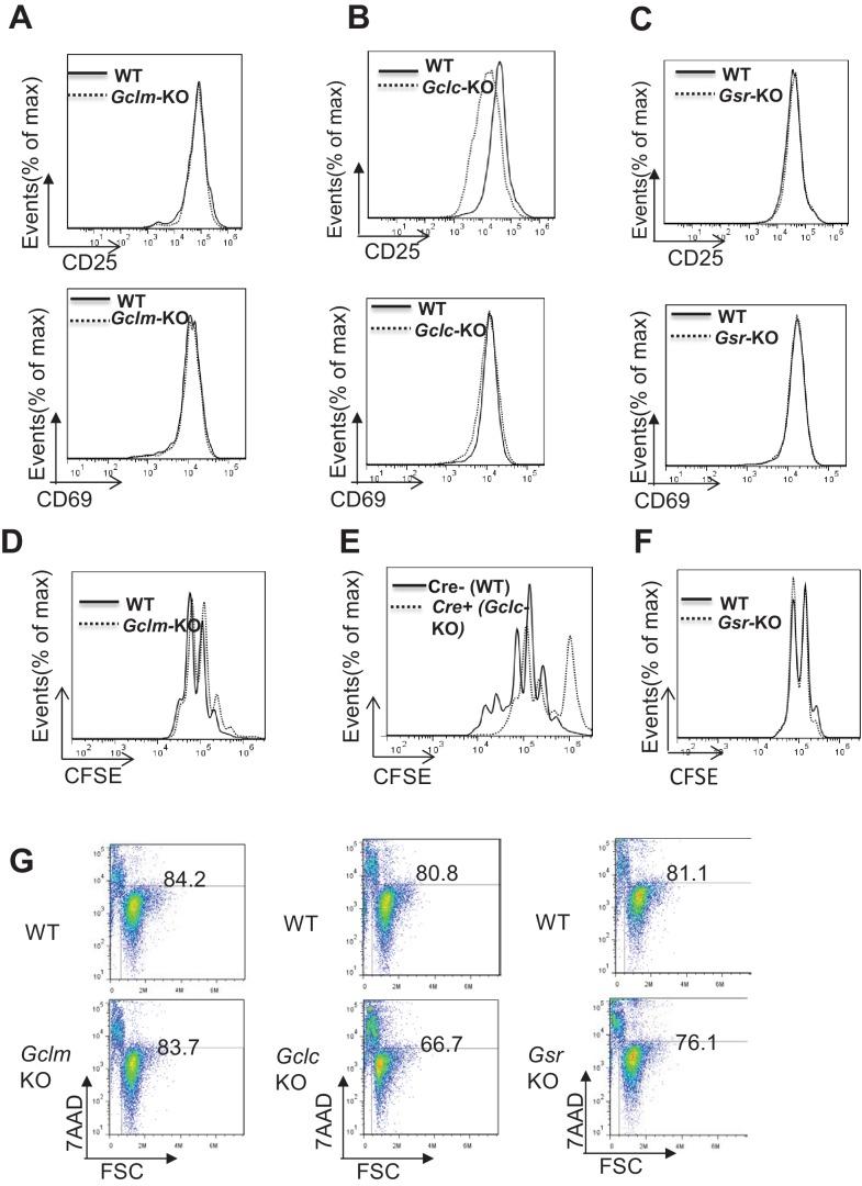 https://cdn.ncbi.nlm.nih.gov/pmc/blobs/c22c/6152796/9dbef724f93e/elife-36158-fig2.jpg