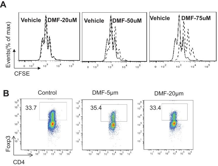 https://cdn.ncbi.nlm.nih.gov/pmc/blobs/c22c/6152796/e03a3e5cb14c/elife-36158-fig5-figsupp1.jpg