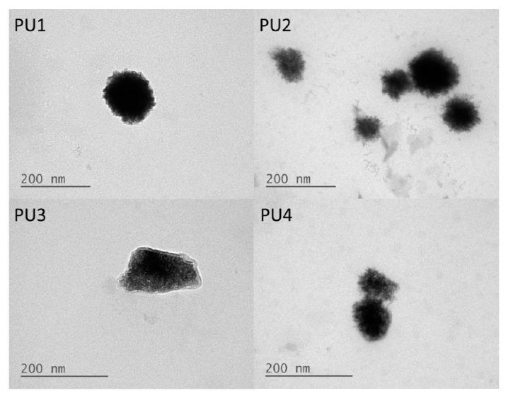 https://cdn.ncbi.nlm.nih.gov/pmc/blobs/c22c/6432218/393de400076f/polymers-08-00252-g002.jpg