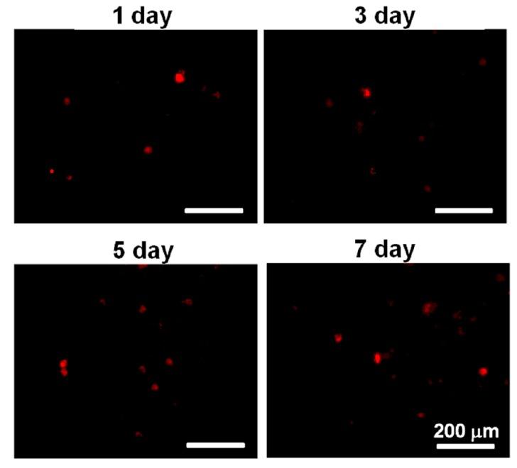 https://cdn.ncbi.nlm.nih.gov/pmc/blobs/c22c/6432218/d510acf6cd5c/polymers-08-00252-g007.jpg
