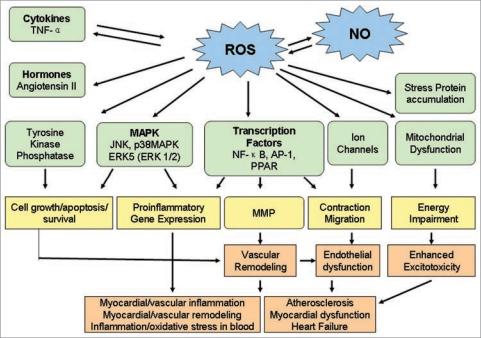 https://cdn.ncbi.nlm.nih.gov/pmc/blobs/c22d/2835914/b7a0c4b73b67/omcl0205_0259_fig001.jpg
