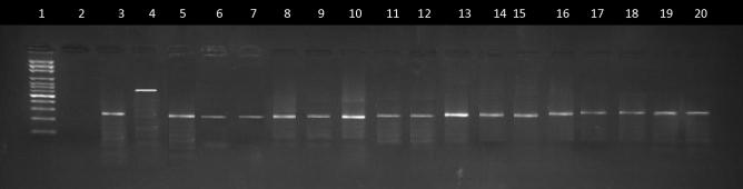 https://cdn.ncbi.nlm.nih.gov/pmc/blobs/c231/10618241/1c821b72dcc5/41598_2023_44962_Fig3_HTML.jpg