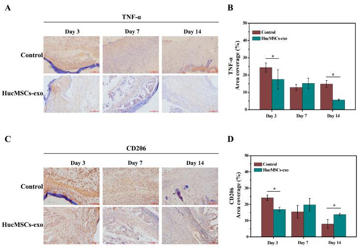 https://cdn.ncbi.nlm.nih.gov/pmc/blobs/c232/9498995/18efe858fa7d/ijms-23-10421-g005.jpg