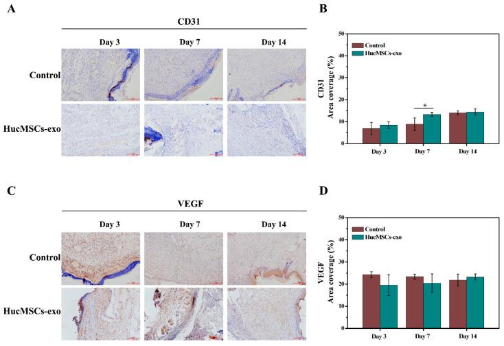 https://cdn.ncbi.nlm.nih.gov/pmc/blobs/c232/9498995/ac7291df62f1/ijms-23-10421-g006.jpg