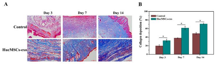 https://cdn.ncbi.nlm.nih.gov/pmc/blobs/c232/9498995/acae46fa0395/ijms-23-10421-g007.jpg