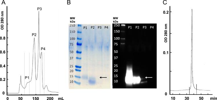 https://cdn.ncbi.nlm.nih.gov/pmc/blobs/c234/5669352/f1dce80f1ace/gr2.jpg