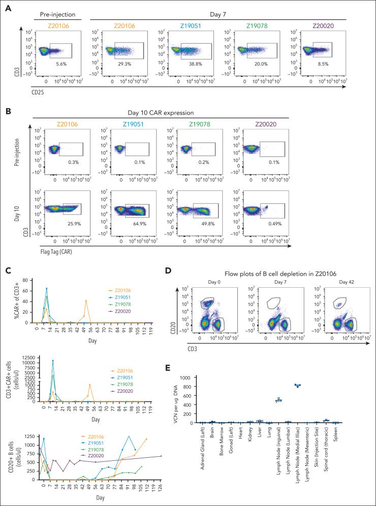 https://cdn.ncbi.nlm.nih.gov/pmc/blobs/c235/11406189/0ac81cd87946/BLOOD_BLD-2024-024523-gr4.jpg