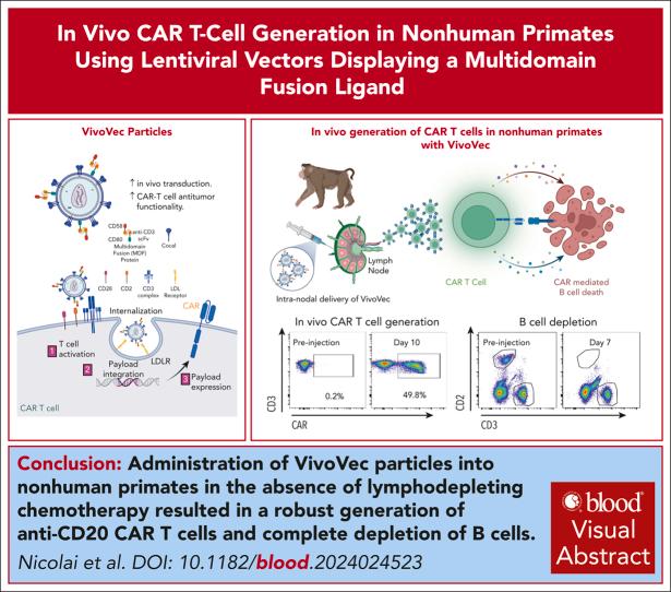 https://cdn.ncbi.nlm.nih.gov/pmc/blobs/c235/11406189/885a026fa350/BLOOD_BLD-2024-024523-ga1.jpg