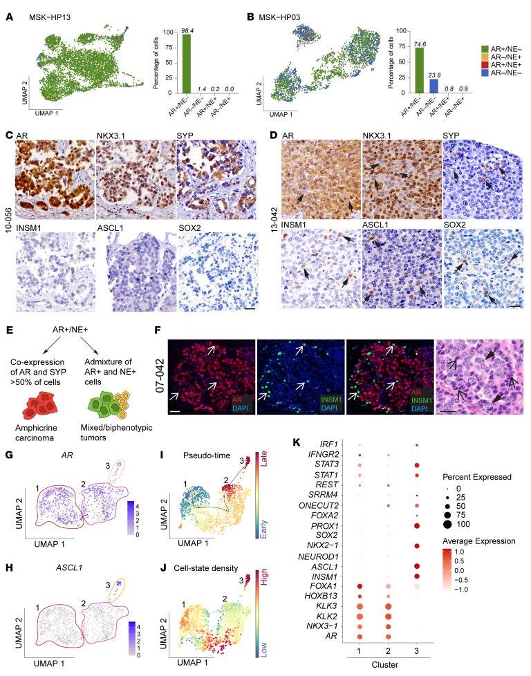 https://cdn.ncbi.nlm.nih.gov/pmc/blobs/c235/12321404/6cfb269a7a4a/jci-135-186599-g060.jpg