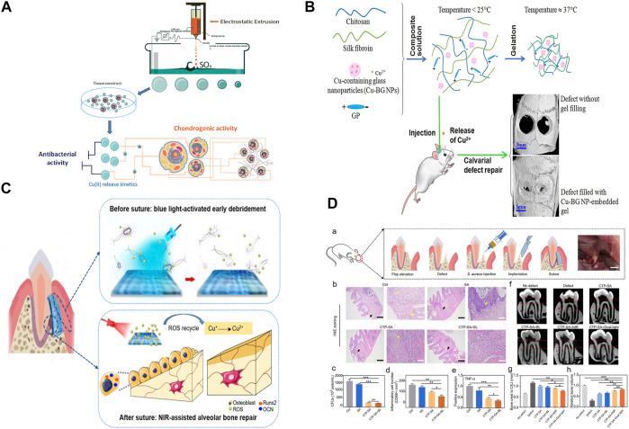 https://cdn.ncbi.nlm.nih.gov/pmc/blobs/c23a/8811349/087ec33fde9f/fbioe-09-795425-g003.jpg