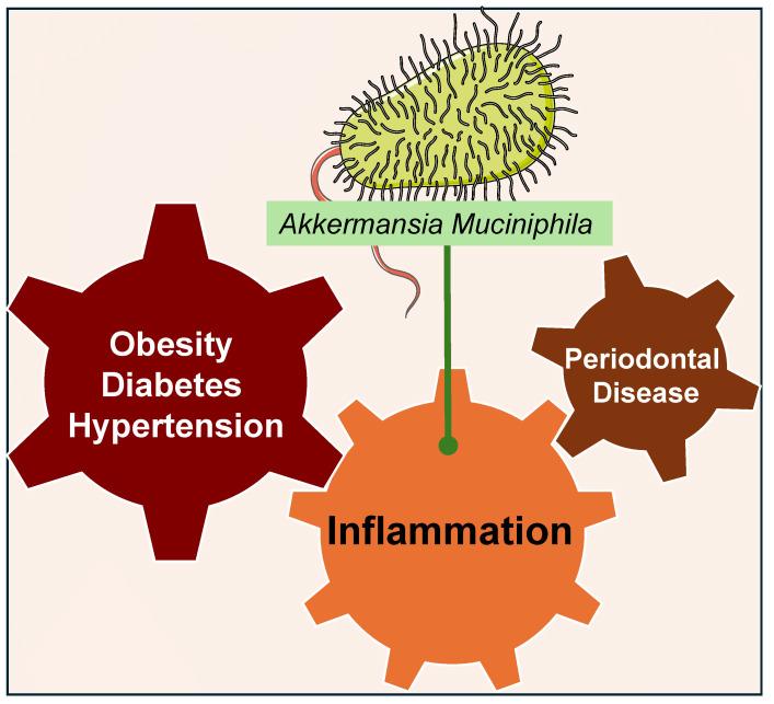 https://cdn.ncbi.nlm.nih.gov/pmc/blobs/c23b/11434887/072d74923089/nutrients-16-03075-g004.jpg