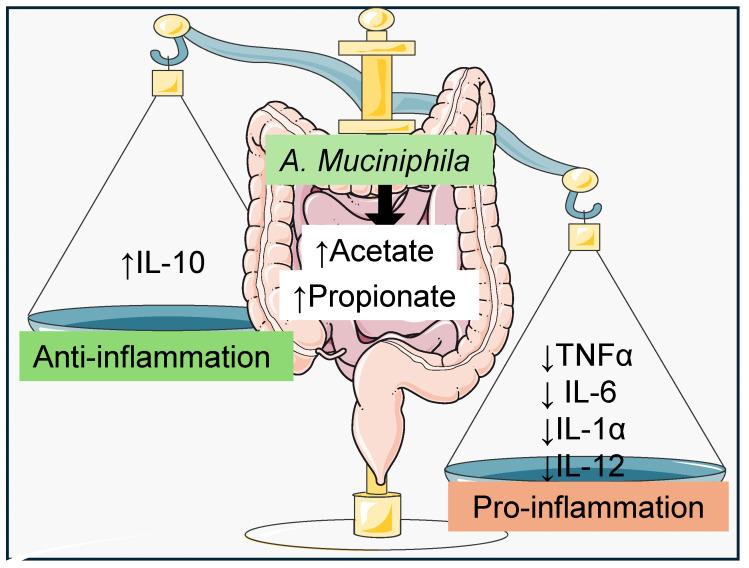 https://cdn.ncbi.nlm.nih.gov/pmc/blobs/c23b/11434887/09ab744612a6/nutrients-16-03075-g002.jpg